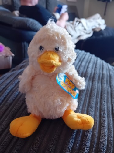Beanie babies quackly - beanie, the