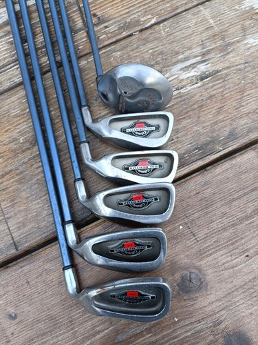 Callaway big bertha 1994 - big,