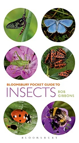 Pocket guide insects - pocket,