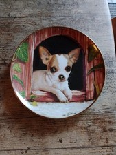 Danbury Mint Chihuahua 20cm Ceramic Ornament Plate In The Doghouse 