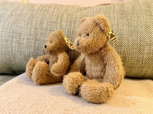 Pair vintage pawprint - pair, teddy
