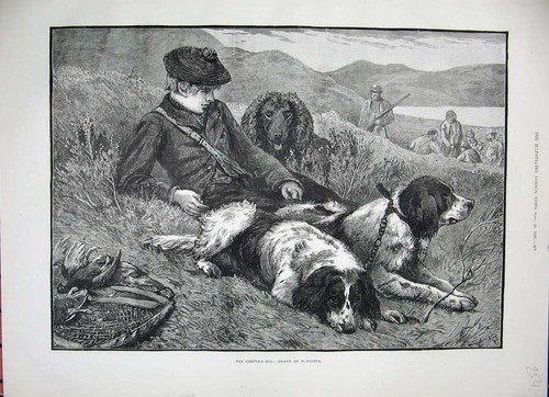 Old antique print 1887 - old,