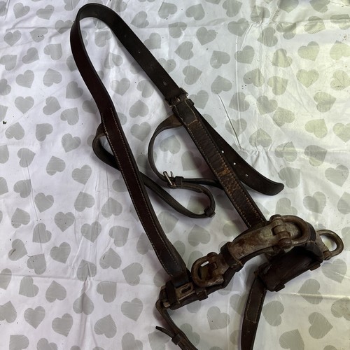 Lunging cavesson full - lunging,