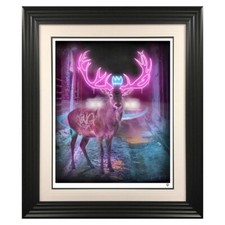 JJ Adams - Deer In The