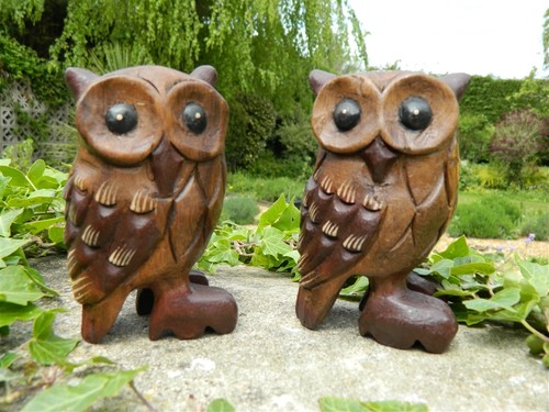 Wooden owl carving pair - carving,