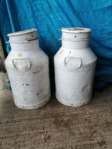 Vintage milk churns pails - churns,
