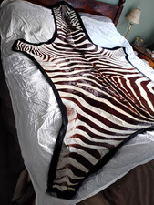 African Zebra Skin Rug Felted Burchells Hide Grade A  TAXIDERMY 8x6 Ft  New WOT