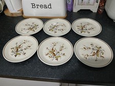 6 x Royal Doulton Wild Cherry