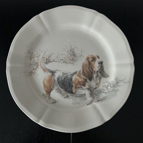 Gien sologne basset hound - sologne,
