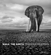 Walk the Earth - 9783791393919