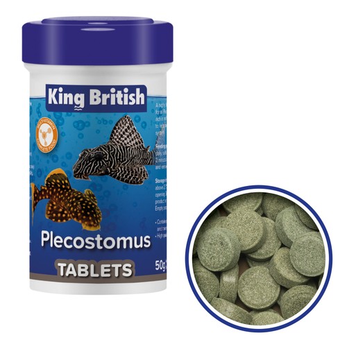 King british plecostomus - british,