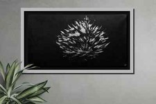 Splash | Monochrome Acrylic