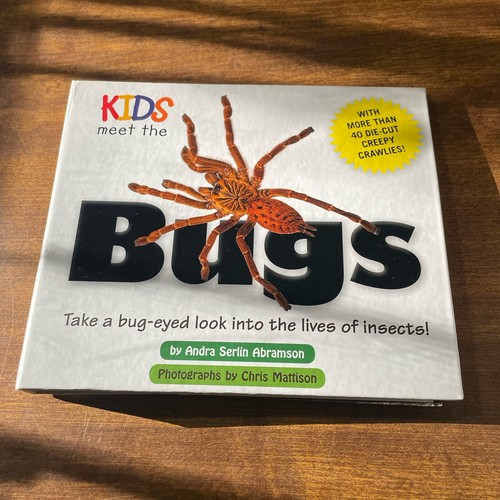 Kids meet the - meet,
