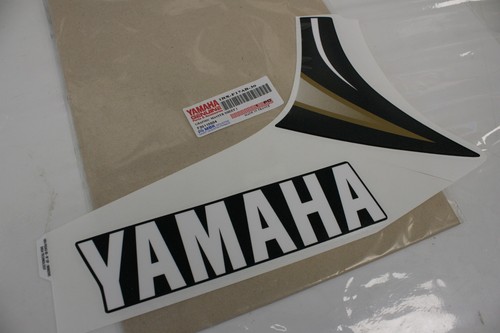 Right fairing decal stripe - right,