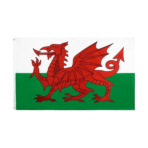 Large welsh flag wales - welsh,