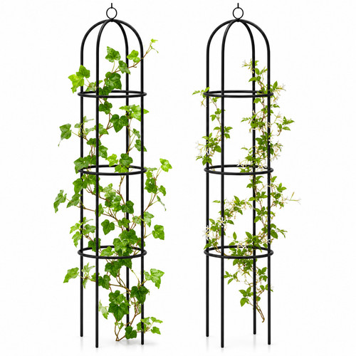 Garden obelisk outdoor - garden,