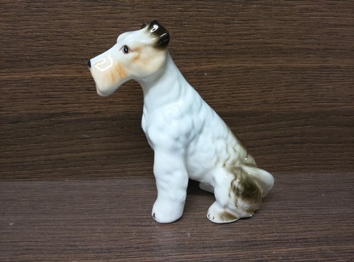 China airedale wire - airedale, hair