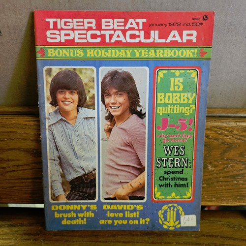 Rare tiger beat spectacular - beat,