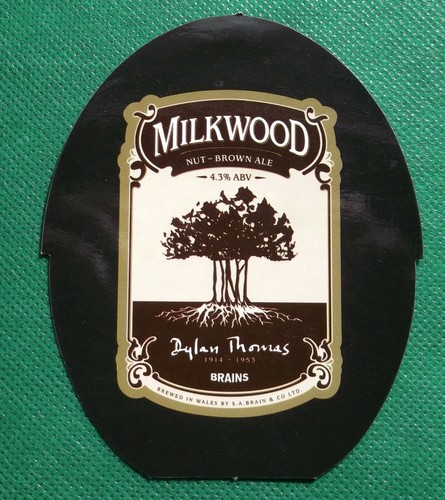 Pump clip insert reversible - clip,