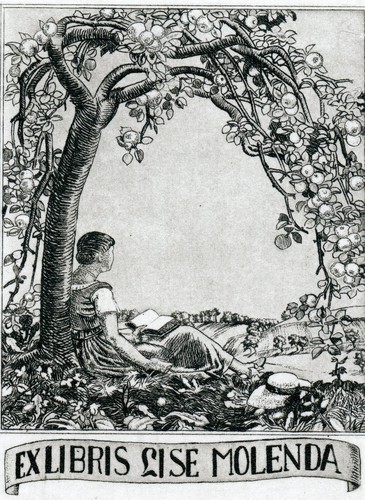 Vintage art print libris - art,
