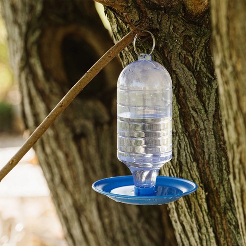 Peckish wild bird water - wild,