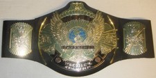 WWE KIDS WRESTLING WINGED