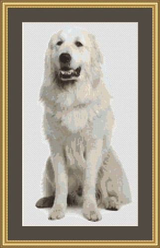 Pyrenean mountain dog cross - pyrenean,