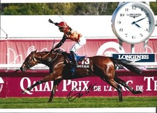 Cristian Demuro signed photo