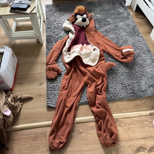 Adult fancy dress - adult,