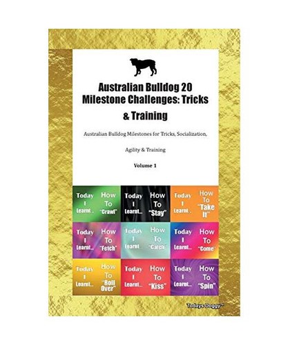 Australian bulldog - bulldog, 20