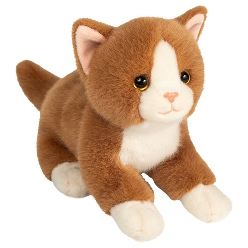 Ginger white fluffy cat - fluffy,