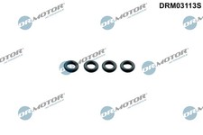 SEAL RING, INJECTOR DR.MOTOR