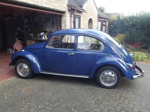 1968 beetle - 1968,