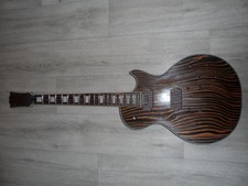 LP Guitar Project