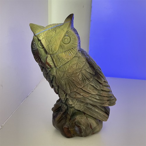 6lb natural wood fossil - natural,