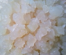 Water Kefir grains (40g 500ml