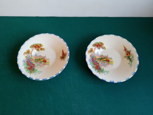 Pretty coronet ware parrot - x,