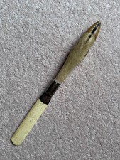 Antique Victorian taxidermy