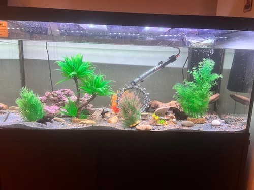 Fluval 18160 90l aquarium - aquarium, &