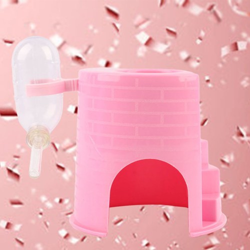 Small pet play - pet,