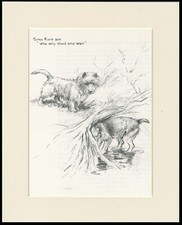 CAIRN TERRIER & LAKELAND TERRIER 1933 DOG SKETCH PRINT by KF BARKER MOUNTED