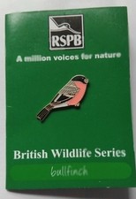 Rspb Pin Badge Of A Bullfinch