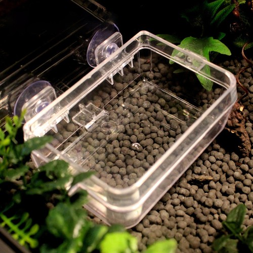 Pcs small reptile water - ,