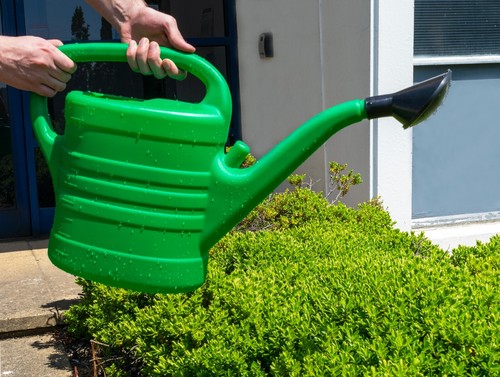 Watering can with rose holder - can,