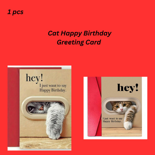 Relax funny cat happy birthday - cat,