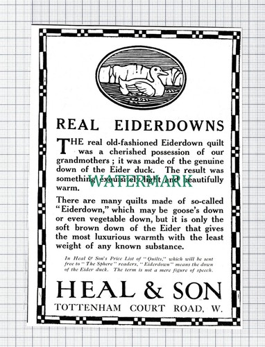 C5978 heal son eiderdown - heal, &
