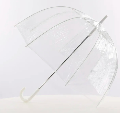 Umbrellas clear dome brollies - umbrellas,
