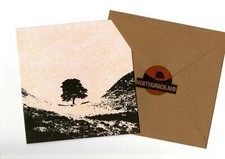 Sycamore gap tree Northumberland Art  15x15 blank card and envelope
