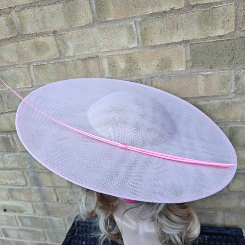 Baby pink feather stick - stick, large