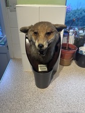 Fox Mask by Ef Spicer and Sons